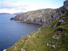 Ireland-West Cork-Hiking - Beara Way
